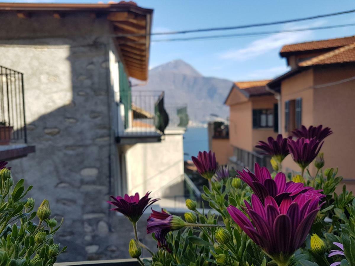 Il Torchio Villa Musso Eksteriør bilde